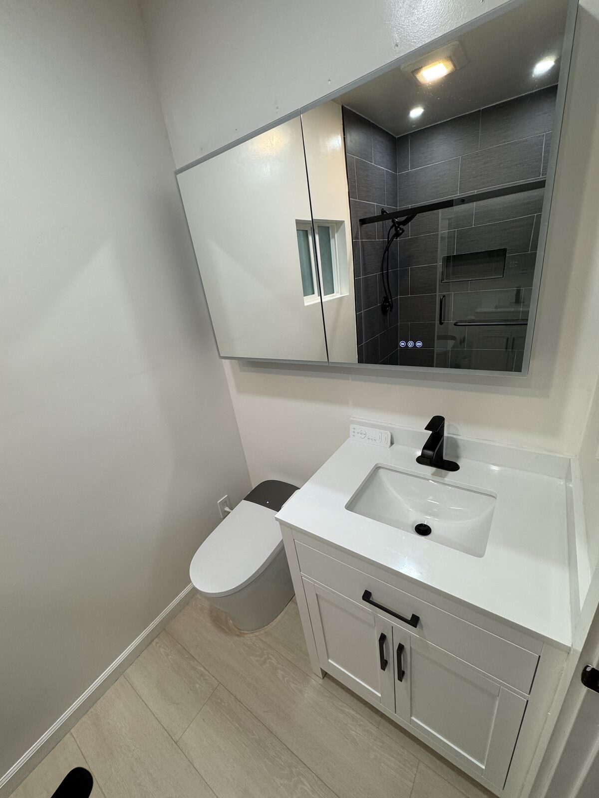 New vanity, toilet, and mirror